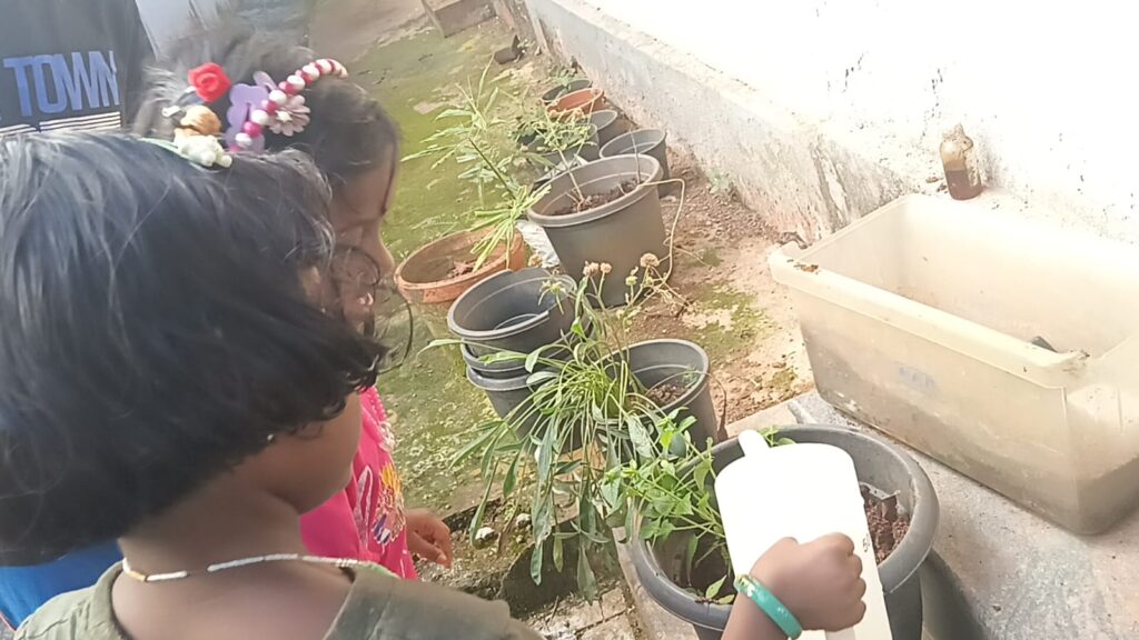 Children observing and caring for plants at Yen’s World School